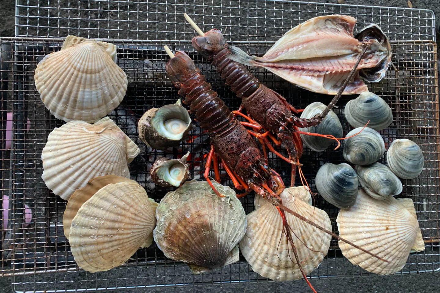 静岡 熱海 釣り体験 熱海沖でマダイ 五目 アマダイプラン 初心者向け アソビュー