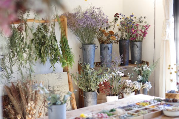 神奈川・川崎・新川崎駅 徒歩6分・キャンドル】大人気プラン！！季節の