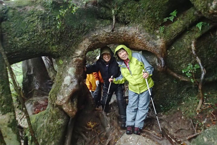 屋久島 トレッキング 縄文杉1泊ツアー 装備レンタル無料 2名様以上はこちら アソビュー