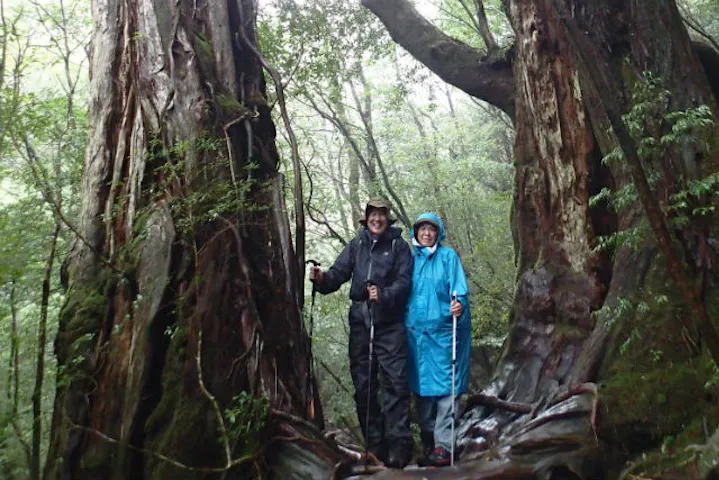 屋久島 トレッキング 縄文杉1泊ツアー 装備レンタル無料 2名様以上はこちら アソビュー