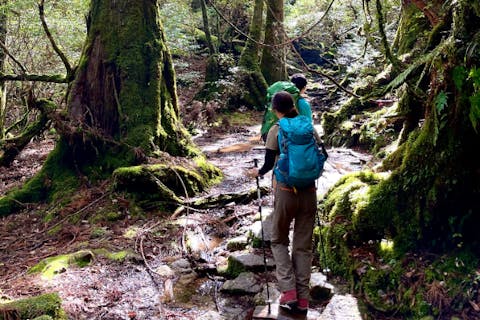 【屋久島・トレッキング】白谷雲水峡～太鼓岩ツアー！登山道具6点無料レンタル付き