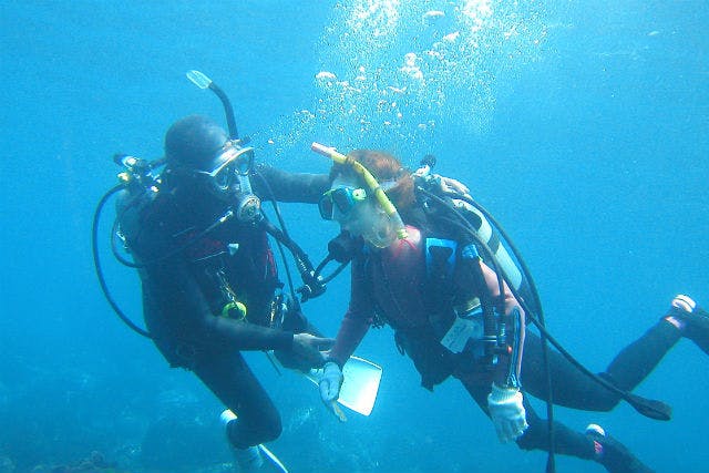 【八丈島・体験ダイビング】高確率でウミガメと会える！初めての体験ダイビング