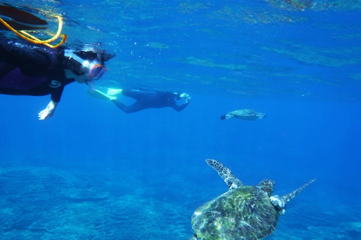 東京でシュノーケリング スノーケリング を体験 予約するなら アソビュー