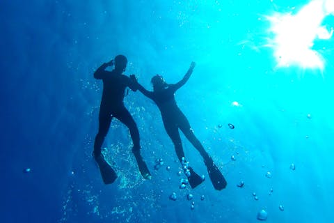 【八丈島・シュノーケリング】ウミガメに高確率で会える！シュノーケリングツアー