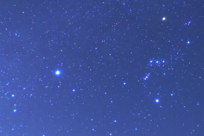 石垣島 ナイトツアー 星空ウォッチ ナイトサファリ 星降る夜空の下で大自然満喫ナイトツアー アソビュー