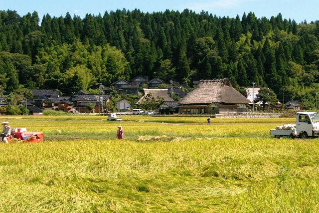 石川 能登 田舎暮らし じーじ ばーばと 田舎のごっつぉを作ろう 里山体験 1泊2日 アソビュー