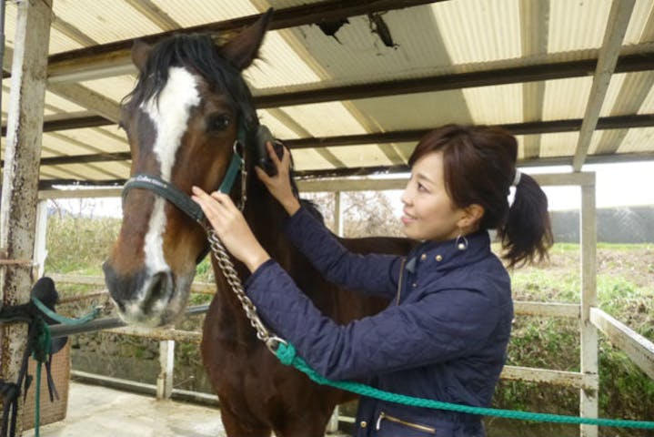 MRC乗馬クラブ松山