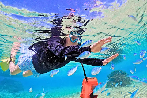 【宮古島・貸切シュノーケリング】専属ガイド1組限定！浅瀬練習付きで初心者も安心／デジカメ無料レンタル＆写真撮影付き