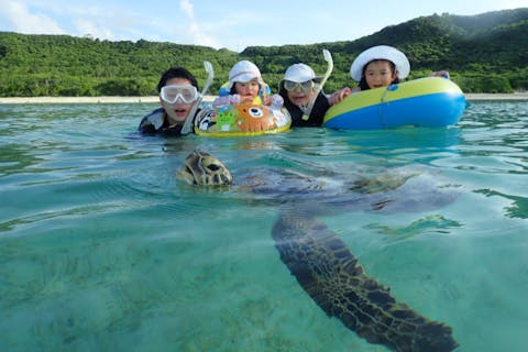 【沖縄・宮古島・シュノーケリング】ウミガメと高確率で出会える！ウミガメの楽園へ（写真撮影付き）