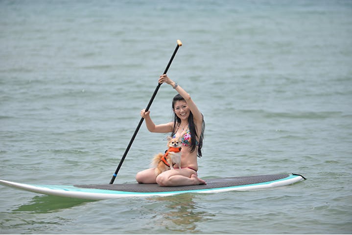 夕日ヶ浦の海を愛犬とsupで楽しもう ソフトドリンク付き アソビュー