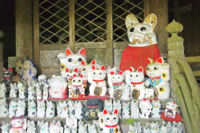帯 着物 招き猫 小判 転がら