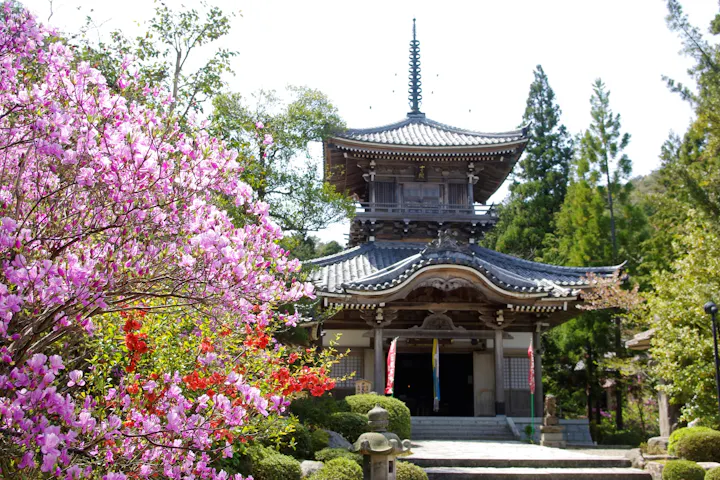豪商稲葉本家で紙芝居を楽しむ アソビュー