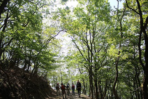 鬼伝説の大江山を縦走する