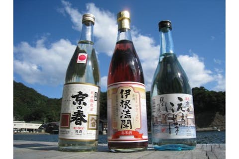 【京都・伊根町】伊根航路で行く舟屋ガイドツアー（舟屋日和・わだつみ寿司御前・7時間）