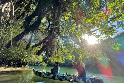 沖縄・嘉手納・カヤック】緑あふれる自然を楽しむ♪比謝川マングローブ