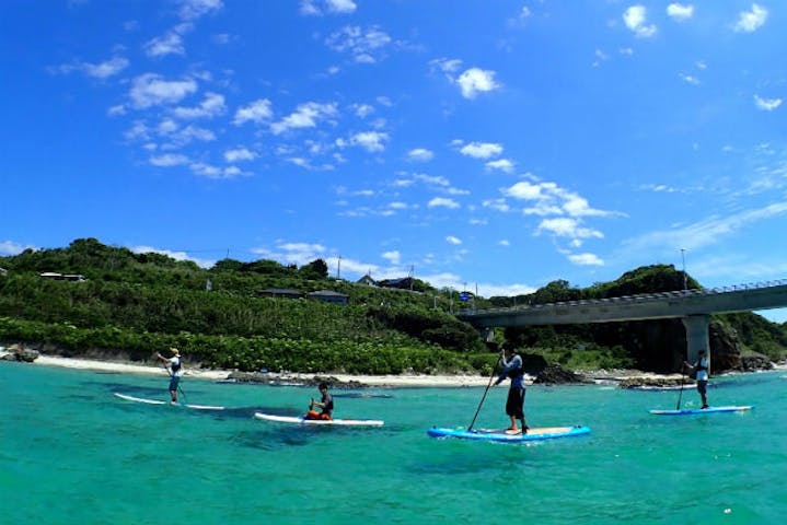 ホワイトウイング