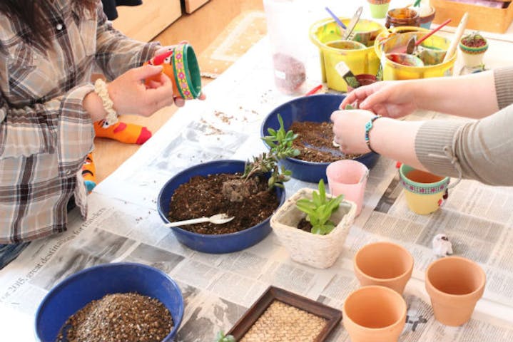 愛媛 松山市 寄せ植え体験 笑顔がかわいいグリーンインテリア 多肉鉢作り アソビュー