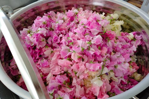 【宮崎・調香体験】バラやジャスミンなどの高級精油もご用意！香水制作贅沢プラン