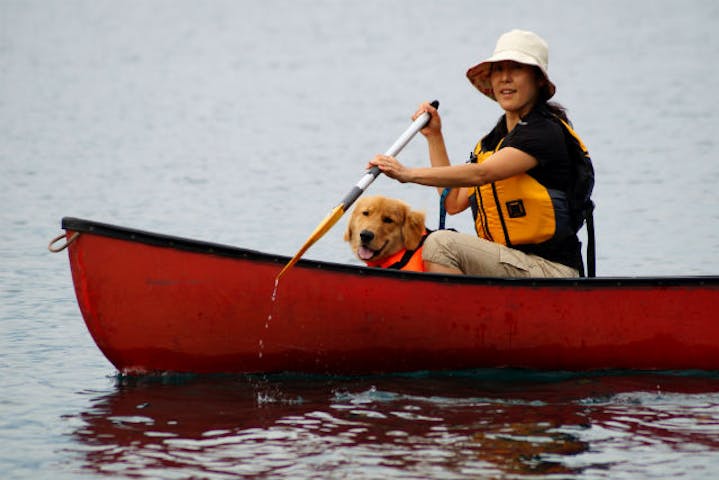 山梨 西湖 カヌー 愛犬と一緒に出かけよう ドッグカヌー アソビュー