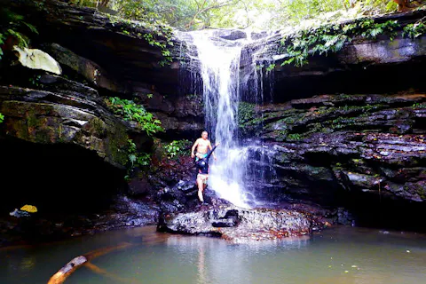 【西表島・トレッキング】手軽にジャングル探検！クーラの滝楽々トレッキング