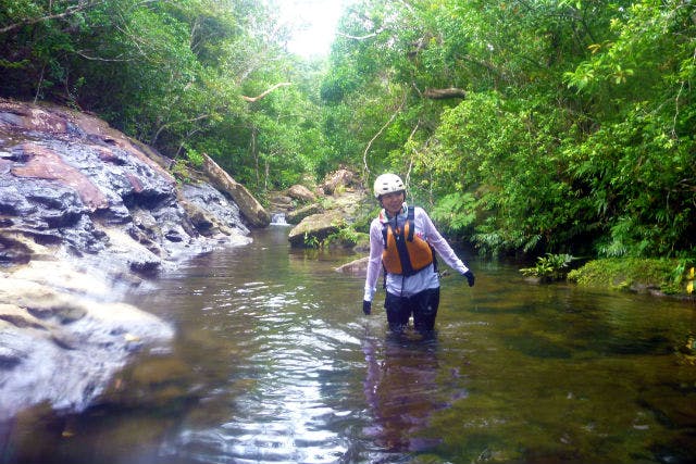 西表ジャングル探検隊