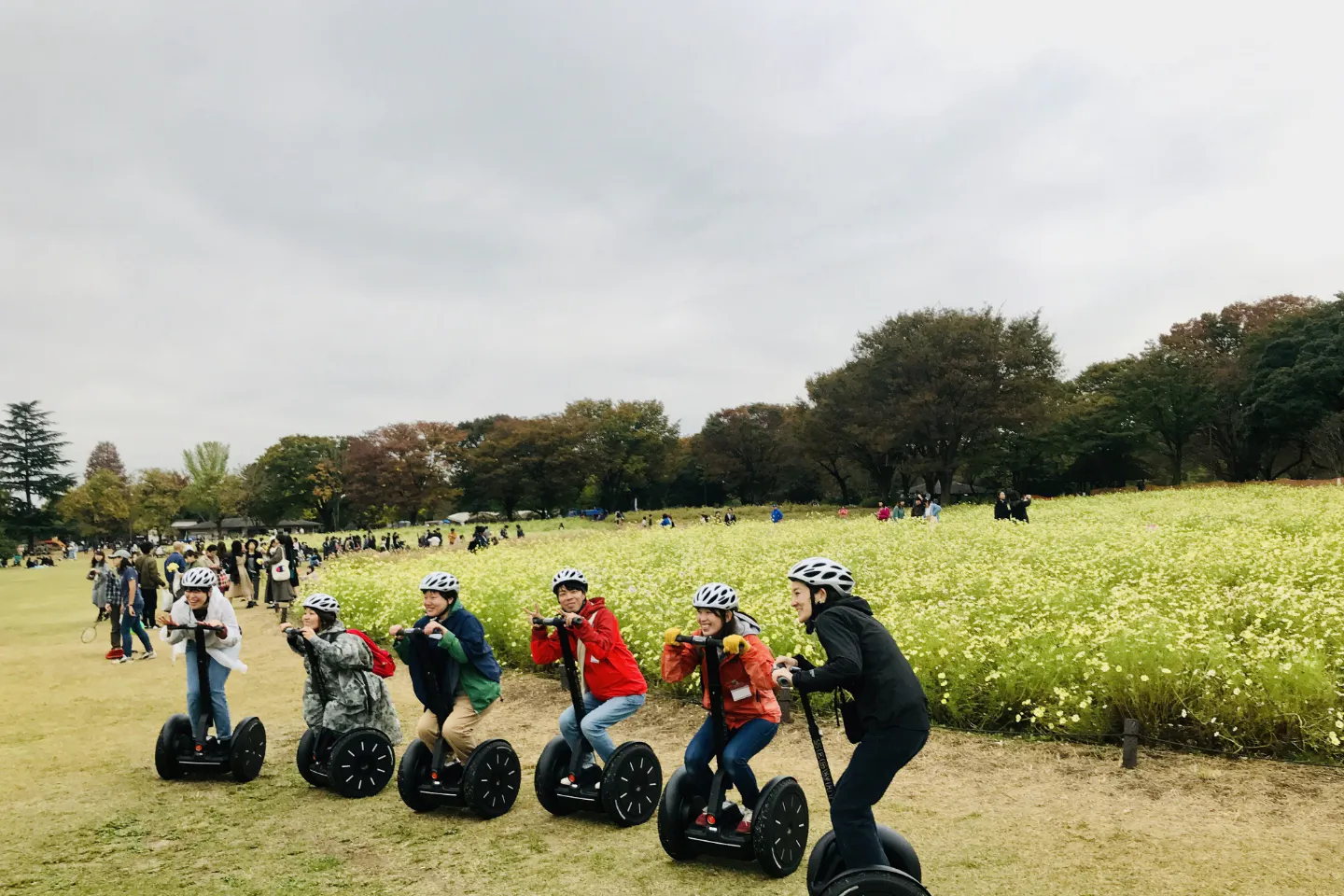 東京 昭和記念公園 セグウェイ 四季の自然を楽しもう セグウェイガイドツアーin昭和記念公園 アソビュー