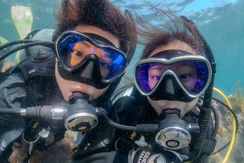 【神奈川/葉山/ドライスーツSPライセンス取得】ライセンス所持者向け/PADIドライスーツスペシャルティ講習付ダイブ（2.5ダイブ/フルレンタル付）ゴールドカード発行店