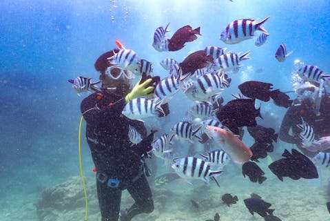 【ライセンス講習・沖縄美ら海】最短1日！PADIスクーバダイバーのライセンスをグループレッスン！