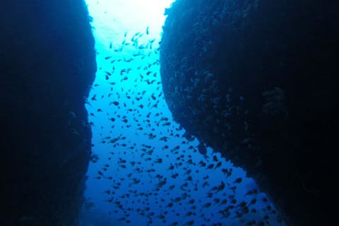 【静岡・南伊豆・体験ダイビング】魚の楽園ヒリゾ浜！専用ボートで行く、初めてのダイビング