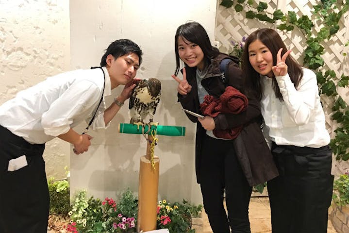 フクロウのお庭 Owl S Garden ネット予約ならアソビュー