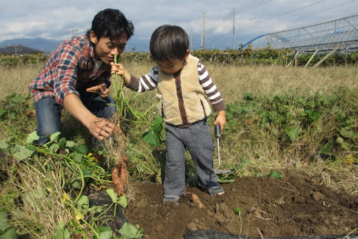 山梨 笛吹市 農業体験 旬の野菜を掘りだそう 野菜収穫体験 持ち帰り付き アソビュー