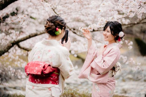 【京都市・着物レンタル】500着から選べる！着物レンタルプラン