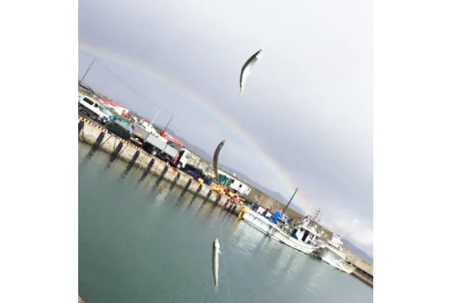 北海道 釣り体験 日本海or太平洋 手ぶらで海釣り体験 ホッケ チカ アソビュー