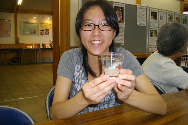 琴引浜の貝殻集めと拾った貝殻で可愛いキャンドルづくり｜アソビュー！