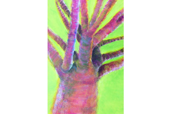 愛知 絵画教室 アクリル絵の具で描く 絵画教室 アソビュー