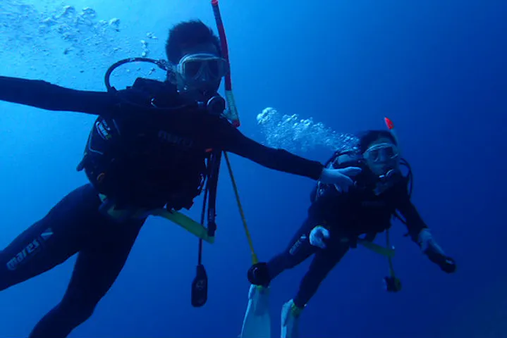 静岡市のpadi５スターダイブセンター ビーチタイム ゴールドカードで認定 Padiオープンウォター 伊豆 体験ダイビング