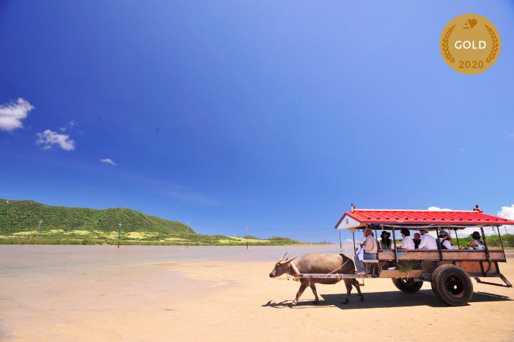石垣島ドリーム観光