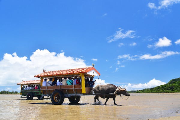 人気の3島めぐり】西表・由布・竹富3島めぐり 竹富島でフリーウォーク