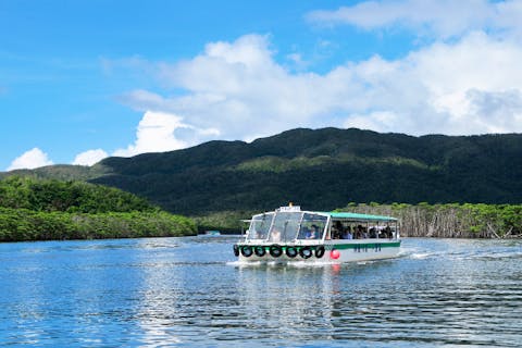 【西表島の大自然を半日で】早回りde西表仲間川・由布コース＜乗船券・ランチ付／N-0＞