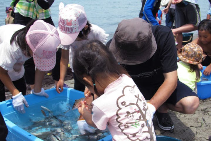 浜名湖観光地域づくり協議会 ネット予約ならアソビュー