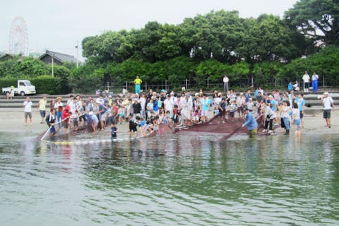 浜松 浜名湖にある漁業 魚市場 一覧 観光 おでかけの予約は アソビュー