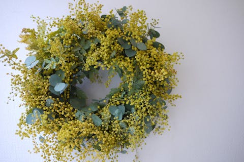 【愛知・名古屋・フラワーアレンジメント】季節のグリーンリースレッスン（※2-3月上旬はミモザのリース、11-12月は季節のクリスマスリース）