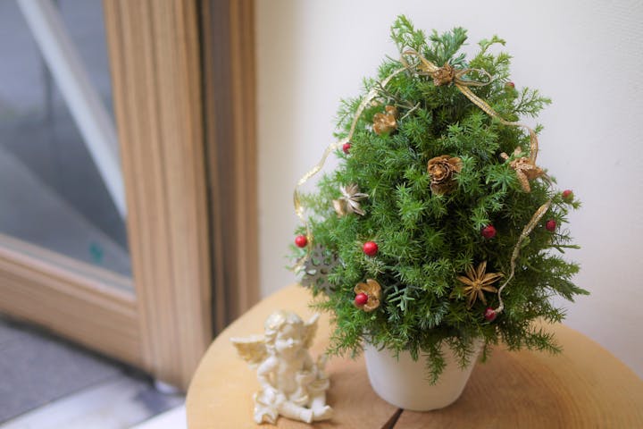 名古屋 フラワーアレンジメント クリスマスと言えばコレ クリスマスツリーアレンジメント アソビュー