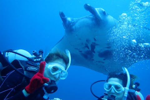 【石垣島・川平・5時間】マンタとサンゴ礁体験ダイビング(2ダイブ)＜3名以上ガイド貸切＞ ★ランチ付き ★写真プレゼント
