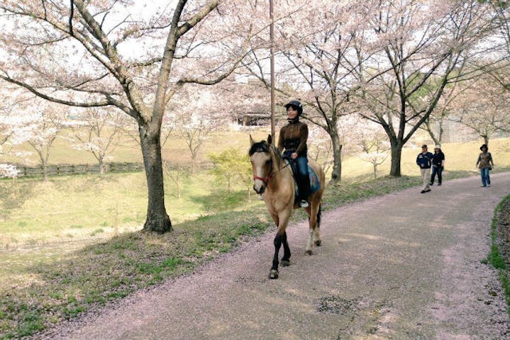 にんにんホーススクール