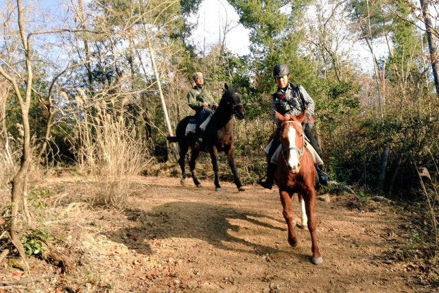 【岡山・乗馬体験】馬と山道を歩こう。ホーストレッキング体験（50分）