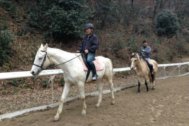 【岡山・乗馬体験】乗馬のライセンスを取ろう！乗馬5級ライセンス取得コース（全9回）