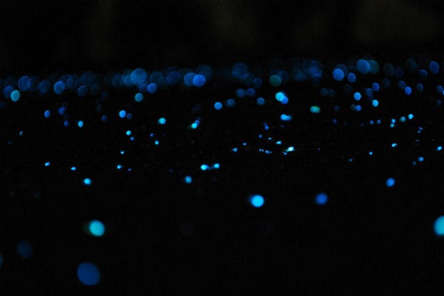 沖縄 宮古島 シュノーケリング 水面がキラキラと輝く 海ほたる 夜光虫 神秘のシュノーケリング アソビュー
