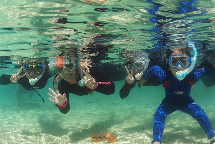 石垣島ブルーダイブ