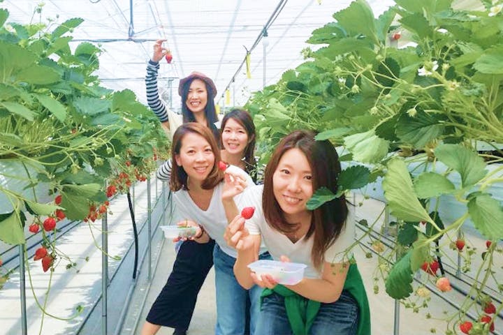 たくみの里いちごの家